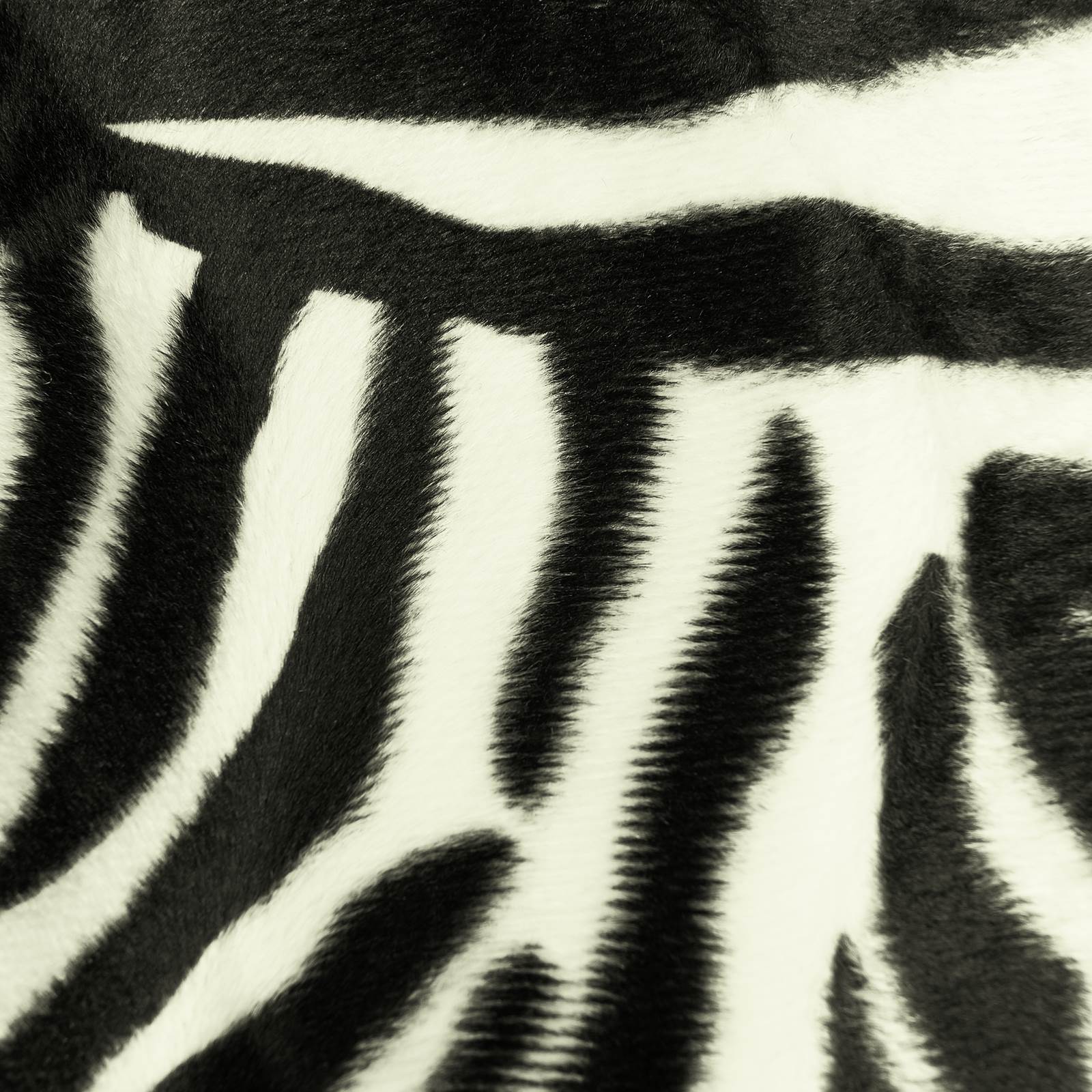 Zebra piel sintética (10cm)